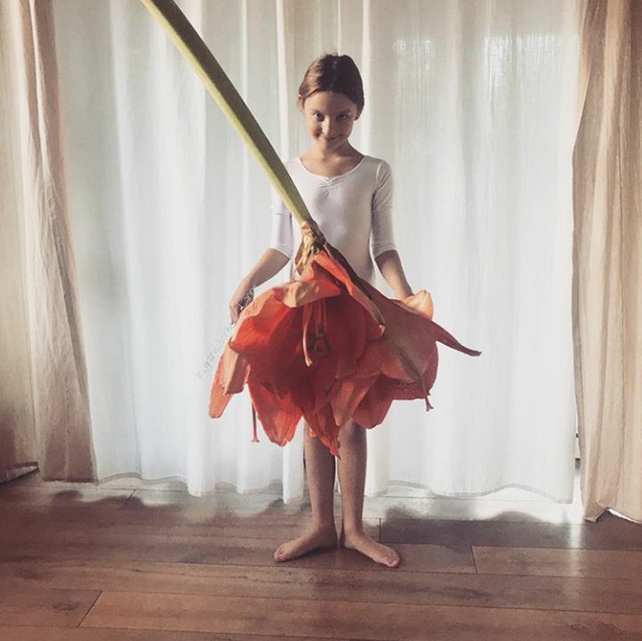 <p>Keren nih, pakai bunga layu untuk dijadikan 'rok tutu' (Foto: lnstagram @le_grand_bonheur_d_anne)</p>
