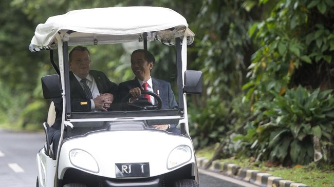 Indonesia beserta negara produsen sawit lainnya, seperti Malaysia, Thailand, Guatemala, dan Kolombia menjadi korban kampanye hitam produk kelapa sawit.