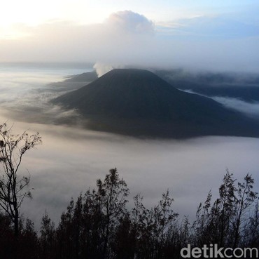 Langka, Kawasan Gunung Bromo Diselimuti Lapisan Salju
