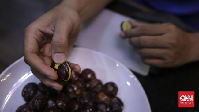 Di luar imejnya yang melekat dengan bau tak sedap, jengkol baik buat kesehatan karena mengandung protein dan serat yang tinggi, asal tak dikonsumsi berlebihan.