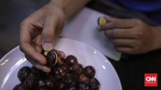 5 Manfaat Mengejutkan dari Jengkol