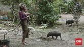FOTO: Wajah Warga Bertahan dari Erupsi Gunung Agung Gunung Agung telah ditetapkan berstatus awas sejak akhir pekan lalu, dan beberapa kali menunjukkan aktivitas vulkanik. Namun, ada warga yang menolak mengungsi.