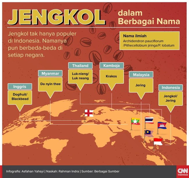 Jengkol tak hanya populer di Indonesia, namun dunia. Berikut cara warga dunia menyebut Jengkol di negara masing-masing.