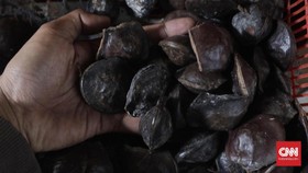 Mencuri Sekarung Jengkol, Dua Pemuda Aceh Dikenai Sanksi Adat