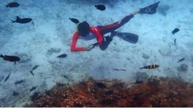Atlet Dunia Ramaikan Freediving di Sail Sabang 2017