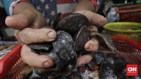 Harga Jengkol dan Daun Jeruk Jatuh di Bawah Rp50 Ribu Usai Lebaran