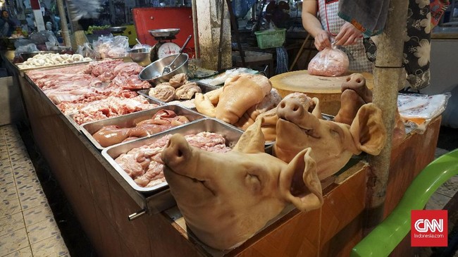 Flu Babi Afrika (African Swine Flu/ASF) dinyatakan berbeda dengan Flu Babi (H1N1) yang bisa membunuh manusia pada 2009 lalu.