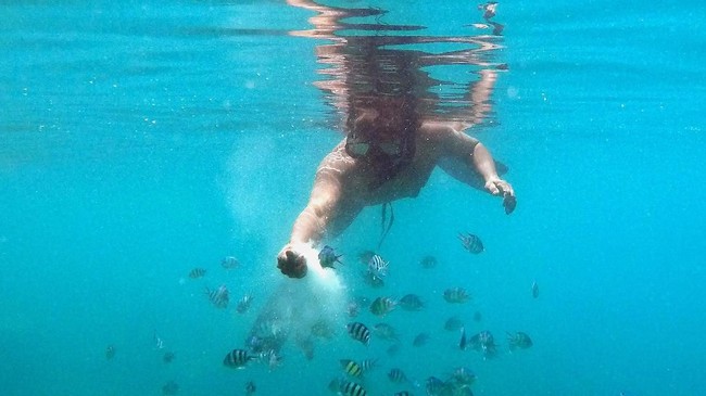 Bagi warga Jabodetabek, tak perlu jauh-jauh jika ingin snorkeling, karena di Kepulauan Seribu kamu bisa merasakan melihat kecantikan bawah laut dengan seru.