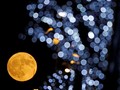 Mitos-mitos Gerhana Bulan dari Berbagai Negara