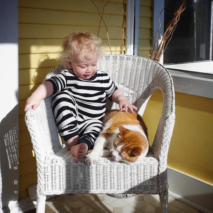 <div>Ini Archie pas lagi main sama Jack, kucing peliharaannya. (Foto: Instagram @wellettas)</div>