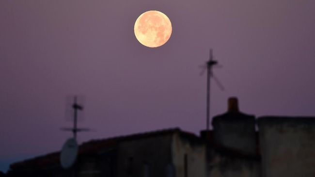 Alasan Terjadi Fenomena Super Pink Moon Malam Ini Berikut alasan mengapa terjadi bulan purnama super dengan sebutan Super Pink Moon malam ini.