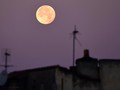 Supermoon Terakhir di 2019 Terjadi Malam Ini