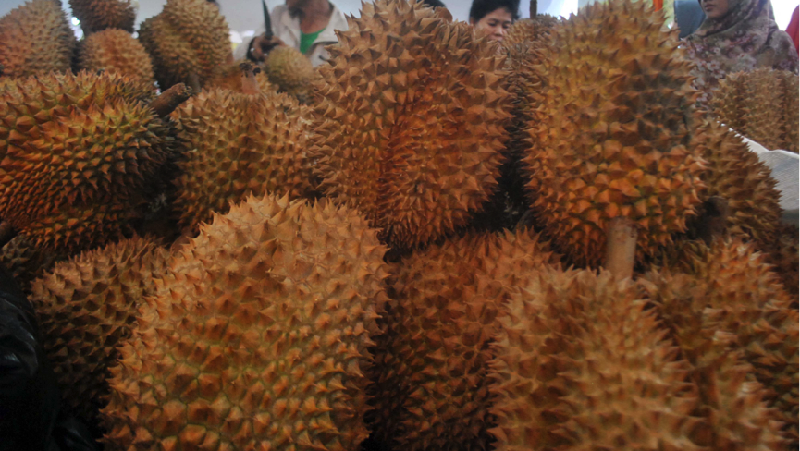 Anda penggila durian? Ingin menikmati berbagai sajian durian lengkap dengan berbagai produk olahannya?