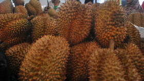 Mari Berpesta Durian di Majalengka