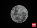 Arab Mulai Kirim Robot ke Bulan Tahun Depan
