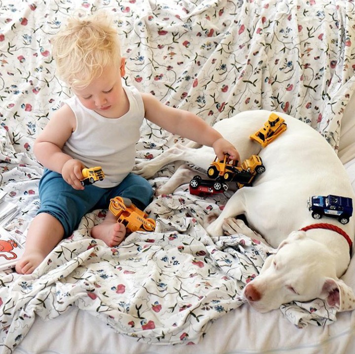 <div>Nora anteng banget walaupun badannya dijadiin 'area parkir' truk mainan sama Archie. (Foto: Instagram @wellettas)</div>