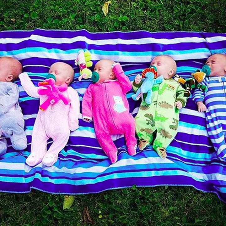 <p>Kita berjemur dulu ya! (Foto: Instagram/ @driskell_quints_mom)  </p>