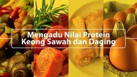 Mengadu Nilai Gizi Keong Sawah dan Daging