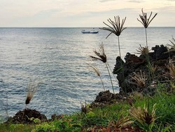 Surga Tersembunyi Timur Madura, Menyelami Keindahan 126 Pulau di Sumenep Surga Tersembunyi Timur Madura, Menyelami Keindahan 126 Pulau di Sumenep