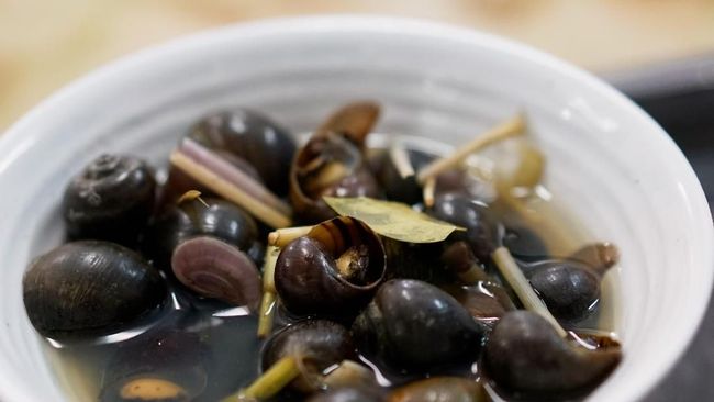Jumlah asupan keong sawah yang dibutuhkan untuk menggantikan daging sebagai sumber protein bergantung pada kebutuhan protein harian.