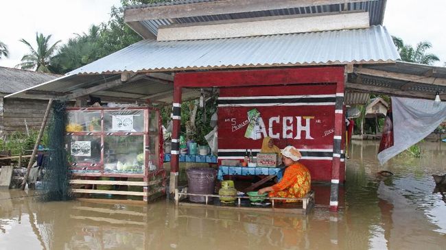 Banjir di Kabupaten Aceh Timur merendam 23 desa dan membuat ribuan warga terdampak, evakuasi dan pendataan korban masih berlangsung.