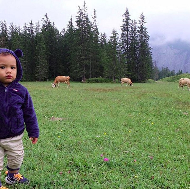 <p>Juna dan sapi-sapi. (Foto: Instagram/ @titi_kamall)</p>