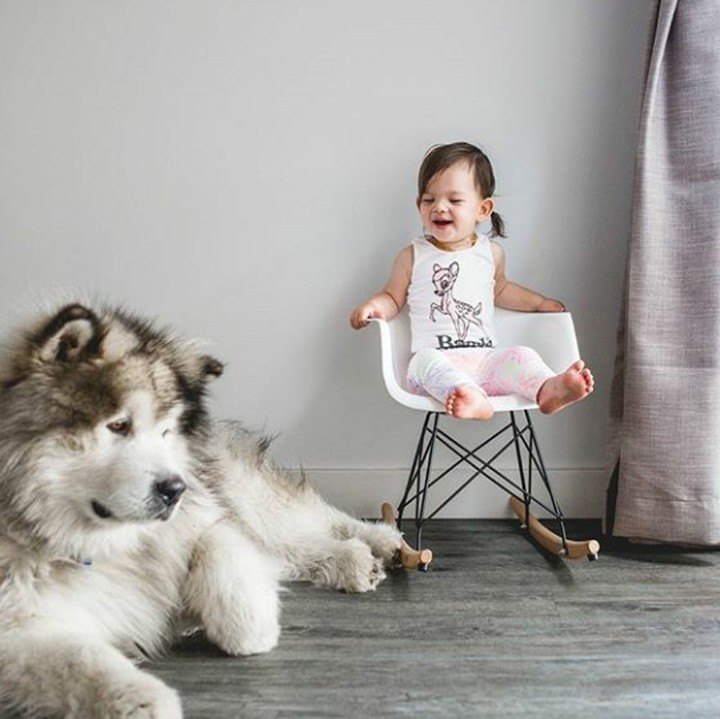 <div> Gadis cilik ini bernama Banksii dan anjingnya bernama Utah. (Foto: Instagram @malamutecalledutah)</div>