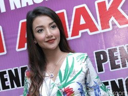 Atalarik Syah Tutup Akses Tsania Marwa Temui Anak