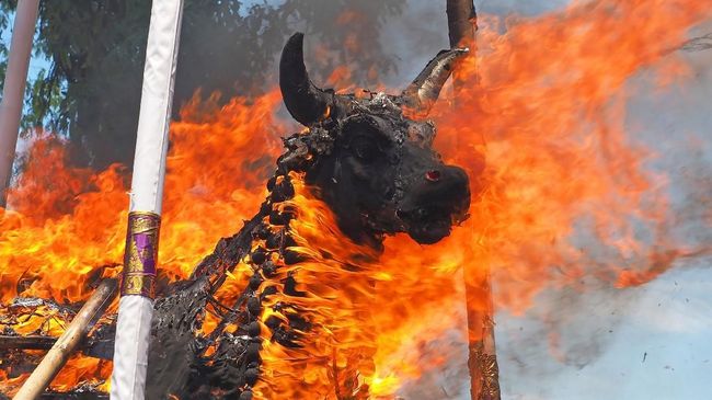 Dalam prosesi keagamaan, pemeluk agama Hindu biasa menyembelih kambing, ayam, dan kerbau.