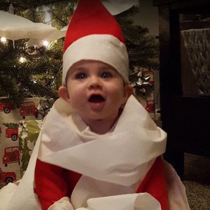 <p>Ini tahun kedua Forest jadi si Elf on the Shelf, Bun. (Foto: Megan Schott via Go Fund Me)  </p>
