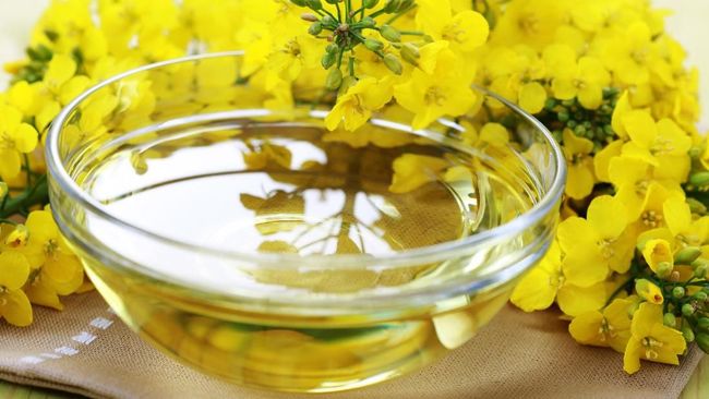 Sebuah penelitian mengungkapkan bahwa dua sendok makan minyak kanola setiap hari bisa menyebabkan berat badan naik dan memicu alzheimer. 