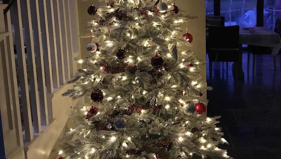 pohon natal seleb pohon natal seleb