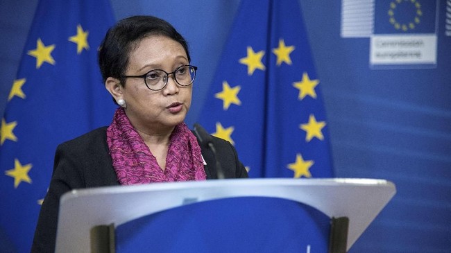 Menlu RI berencana menghubungi Perwakilan Tinggi Uni Eropa guna membicarakan keputusan blok itu yang dianggap sebagai kampanye hitam komoditas kelapa sawit.