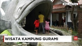 VIDEO: Berwisata di Kampung Ikan Gurami