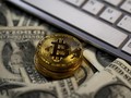 Waspada 'Bubble', Bitcoin Rontok 20% dalam Hitungan Hari