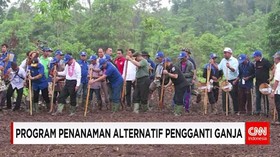 Program Penamanan Alternatif Pengganti Ganja