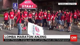Ratusan Anjing Beradu Cepat Lari Maraton