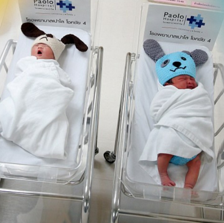 <p>Kostum rajut anak anjing sukses bikin bayi-bayi ini merasa nyaman. (Foto: Reuters via Daily Mail)</p>