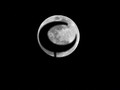 19 Februari, Supermoon Terbesar Tahun Ini Terangi Langit