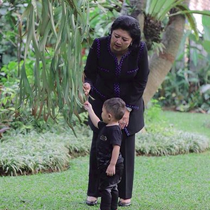 <p>Memo serius banget mengenalkan tanaman ke Sakti. (Foto: Instagram/ @aniyudhoyono)</p>