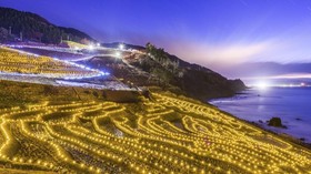 Festival Sawah Gemerlap di Shiroyone