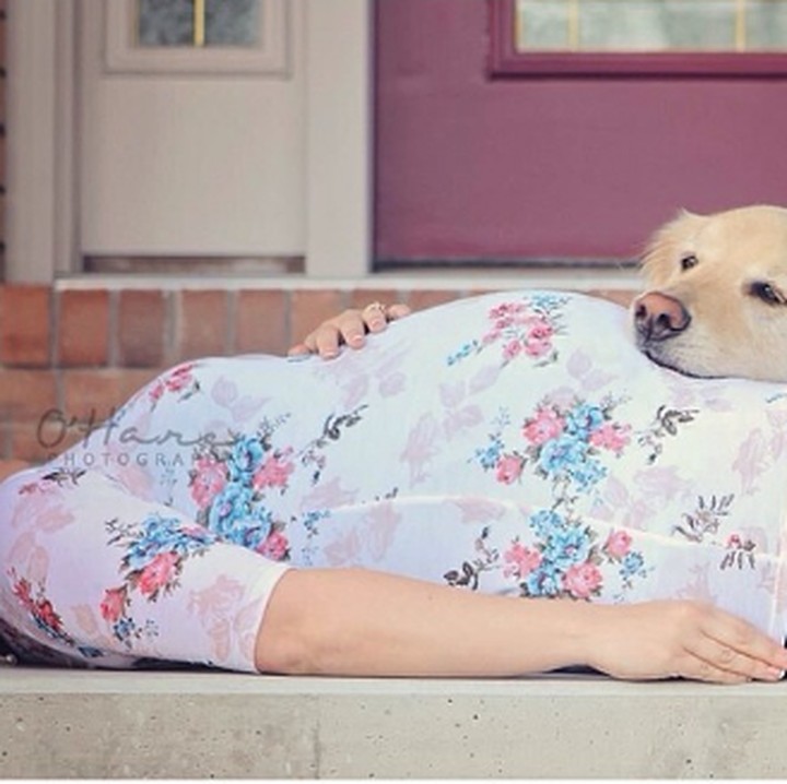 <p>Udah pernah nyoba bareng hewan kesayangan untuk maternity photoshoot? (Foto: Instagram/oharephotog)</p>