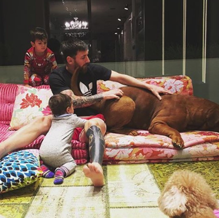 <p>Bermain bersama anjing peliharaan mereka yang super besar. (Foto: Instagram @antoroccuzzo88)</p>