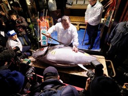 Kenapa Tuna di Jepang Harganya Bisa Miliaran?