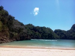 Kronologi Mahasiswa IPB Hilang Saat Penelitian di Pulau Sempu