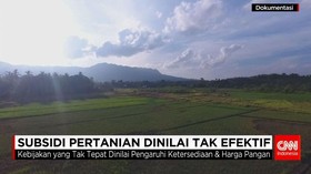 Subsidi Pertanian Dinilai Tak Efektif