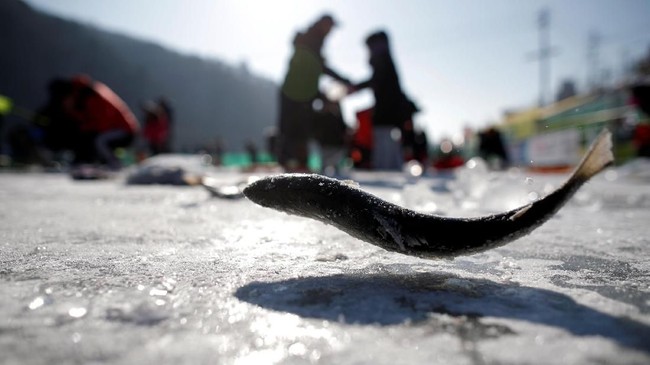 FOTO: Memancing Ikan di Danau Beku