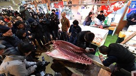 Pengganti Pasar Ikan Tsukiji Resmi Dibuka
