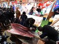 Pengganti Pasar Ikan Tsukiji Resmi Dibuka