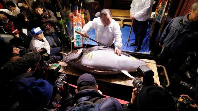Larangan masuk bagi turis selama kegiatan lelang ikan tuna mulai berlaku sejak 15 September 2018.